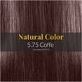 thumbnail image 3 of Hair Solution Gold 90 grams / 3.17 oz Hair Dye Coffee 5.75 Color - Hair Dye Permanent + Peroxide Cream Vol 20  + Hair Care Gloves, 3 of 8