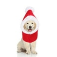 thumbnail image 5 of Dog Accessories Pet Hat Outfits Windproof Funny Snood Headband, 5 of 8