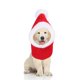 thumbnail image 5 of Sombrero para mascotas Accesorios para perros Sombreros cálidos para rojo Gloria Sombrero de invierno para perros, 5 of 9
