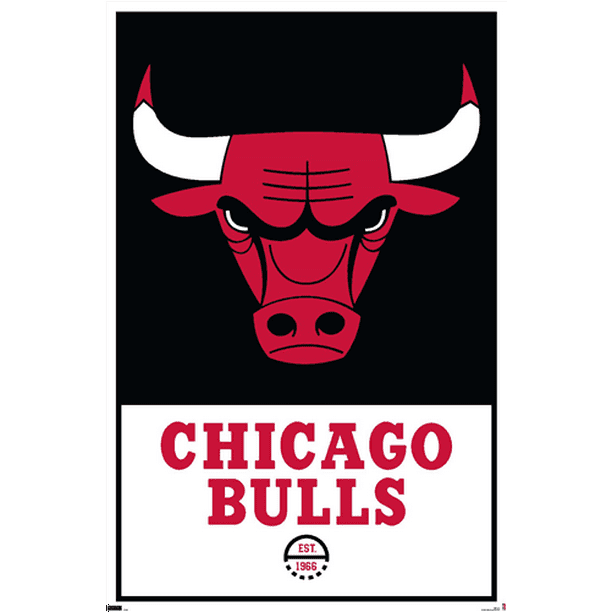 NBA Chicago Bulls - Logo 21 Wall Poster, 22.375