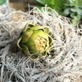 thumbnail image 5 of TABLZONE Set of 4 Green Artificial Artichoke Plants for Home Decor, Faux Plastic Bonsai Ornaments, Indoor Decorative Accents, 5 of 6