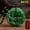 Green, variant on Green Stone Carved Chinese Dragon Crystal Jade Pendant Amulet Necklace Gift-Green