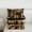 Brown 01, variant on Feelyou Vintage Boho Aztec Bedding Comforter Set for Men, Hippie Rustic Bear Twin Comforter Sets, Southwestern Theme Reversible Bedding Set, Super Cozy Room Decor, 2pcs