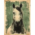 thumbnail image 1 of Qisvanset Framed Canvas Wall Art, 12x16 Inch Green Horse Vintage French Country Decor, 1 of 5