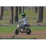 realtree 200cc mini bike