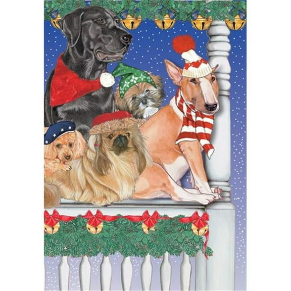Mix Dog Holiday Boxed Cards