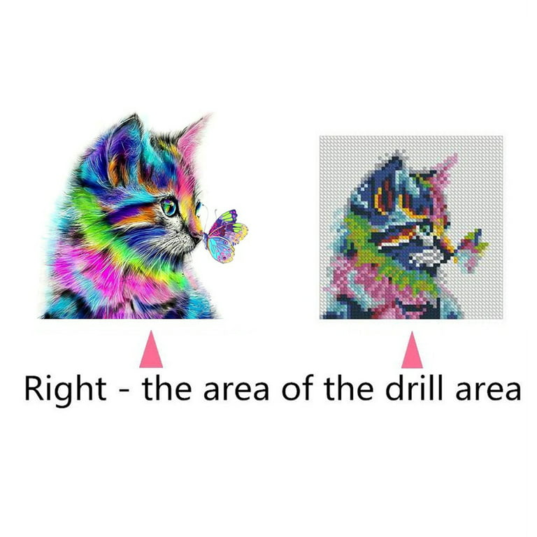 5D Diy Diamond Painting Kits Cat By The Window Diamond Art Animals