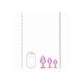 thumbnail image 4 of Ouch! International Paris Collection Ensemble de Plug Anal en Métal, Rose, 4 of 5