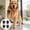 62#Black, variant on Adhesive Paw Pads for Dogs 4 Pieces, Thick Grip Water Repellent Anti Slip Shoe Pads, Protective Traction Pads for Indoor Outdoor Walking Small Medium Large Dogs Paws