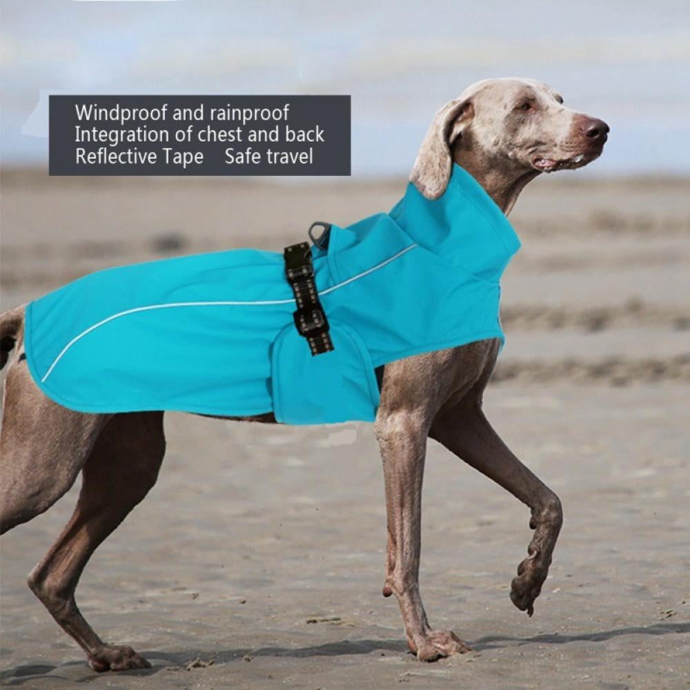 raincoat for dogs walmart