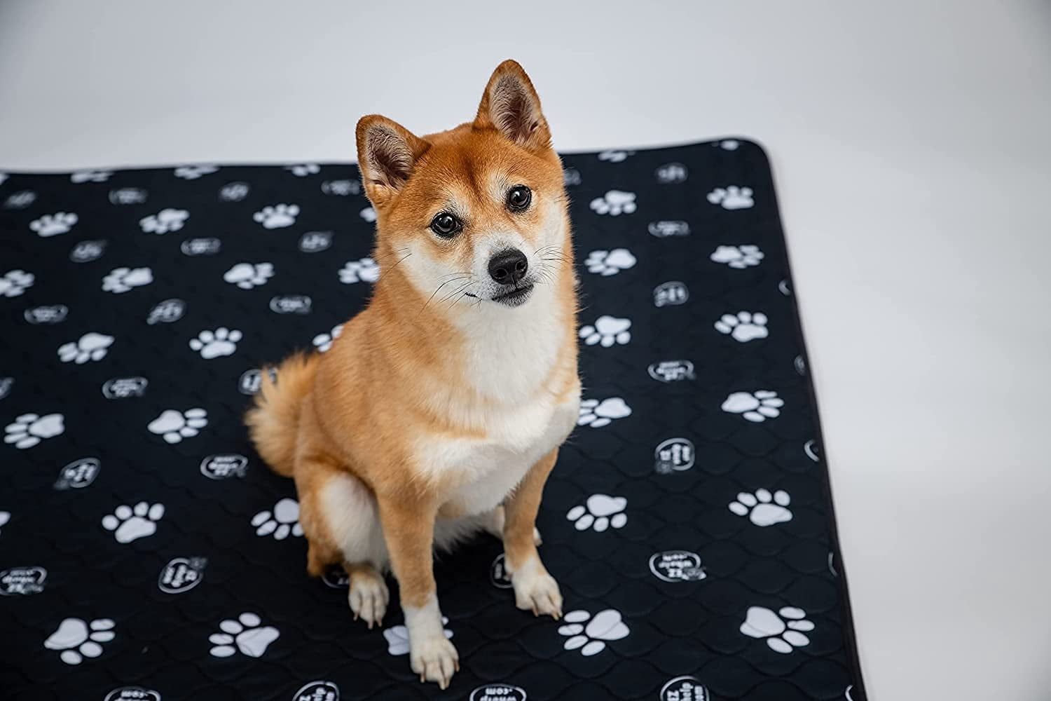 EZwhelp Reusable Dog Pee Pads, 24" x 48" 2 Pack – Washable Waterproof Mats for Puppy Training & Whelping, Durable, Leakproof, Reusable Potty Pads for Dogs