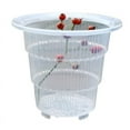 thumbnail image 3 of Clear Plastic Orchid Pots, Transparent Flower Pot with Holes for Succulent Plants, 3 of 6