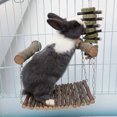 thumbnail image 3 of Hamster Swing Bed, Climb   Swing Cage, Swing For Squirrels, 3 of 8