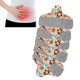 thumbnail image 1 of 5 Compresas Femeninas Lavables, Paño De Algodón Puro, Reutilizables Y Fáciles De Limpiar, Transpirables Y Cómodas Servilletas Menstruales Con Absorbencia Excepcional Y Salud, 1 of 7