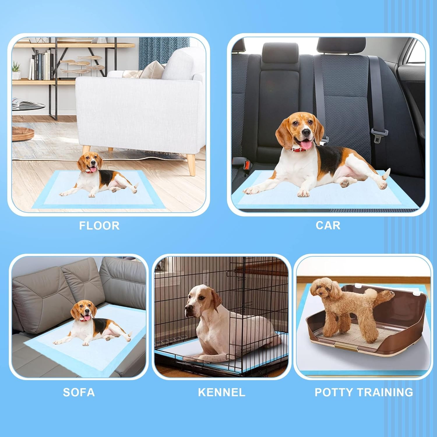 Extra Large Dog Pee Pads,Disposable Training Pads, Puppy Pads with high Absorbency and Leak-Proof Protection for House Training Cats,Rabbits,Dogs Leak-Proof Dog Pee Pads Extra Large