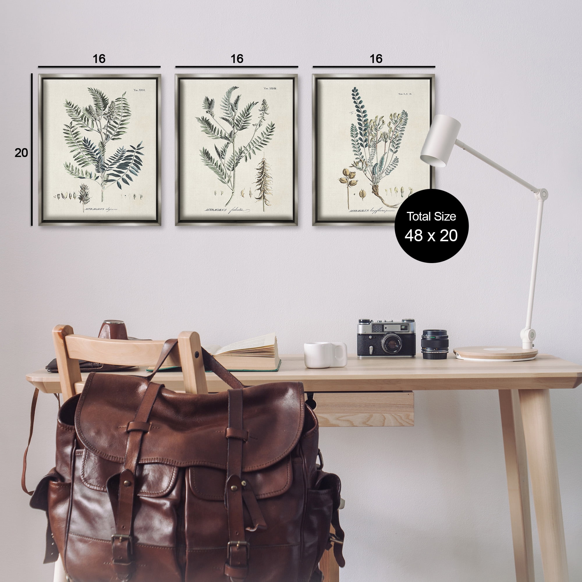 Stupell Industries Woodland Plant Studies Botanical & Floral Painting Gray Floater Framed Canvas Art Print Wall Art, 17 x 21, Set of 3