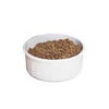 Medium Size Crock Dish