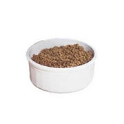 Medium Size Crock Dish