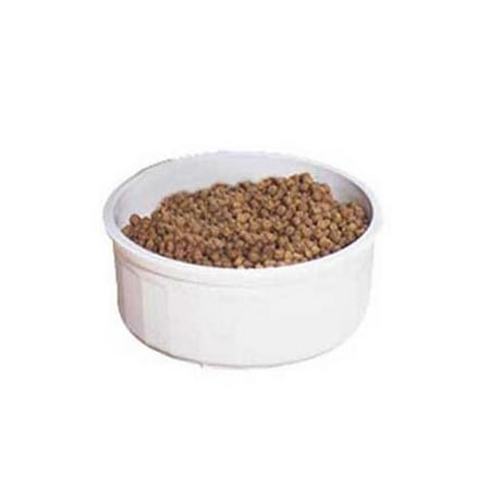 Medium Size Crock Dish
