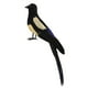 thumbnail image 5 of Pájaro de simulación de urraca, artesanías de pájaros artificiales, figuras de pájaros realistas para arte de jardín 30 centimetros, 5 of 9