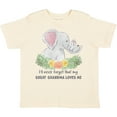thumbnail image 3 of Inktastic I'll Never Forget That My Great Grandma Loves Me Elephants Boys or Girls Toddler T-Shirt, 3 of 5