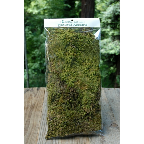 Extra Large Bag of Moss, 1 Each
