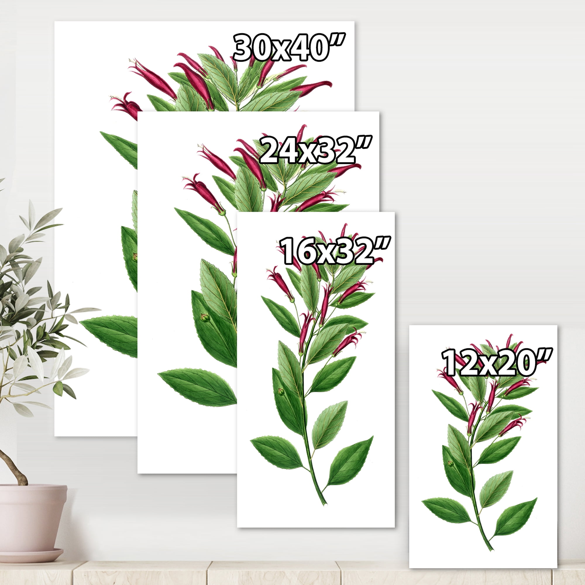 Designart ' Ancient American Flora V ' Traditional Canvas Wall Art Print