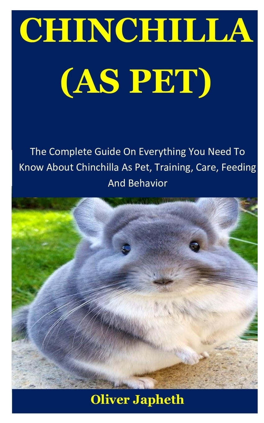 Chinchilla As Pet: The Complete Guide On Everything You ...