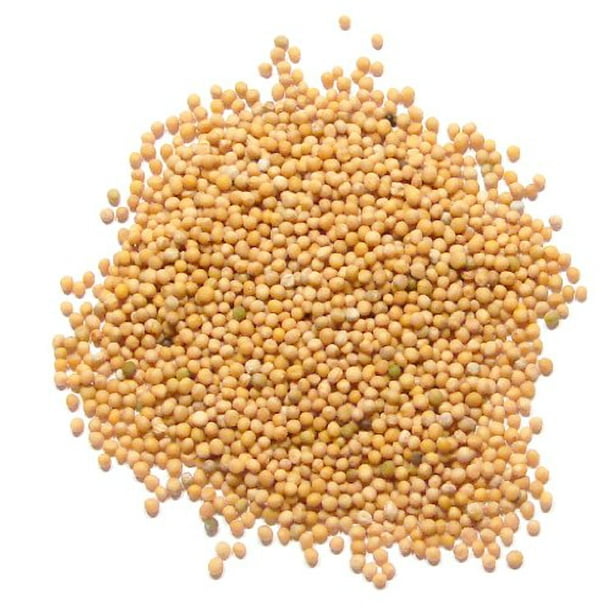 Yellow Mustard Seeds, 8 Ounces Kosher, Vegan, Bulk by Food to Live