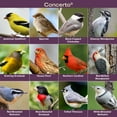 thumbnail image 6 of Blue Seal Concerto Premium Bird Seed - Attracts Wide Variety of Wild Birds - Convenient Shell-Free Mix - 8 Pound Bag - New, 6 of 9