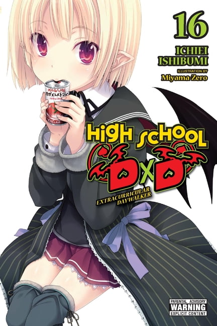High School DXD (Light Novel) High School DXD, Vol. 12 (Light