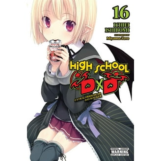 High School DXD (Light Novel) High School DXD, Vol. 12 (Light