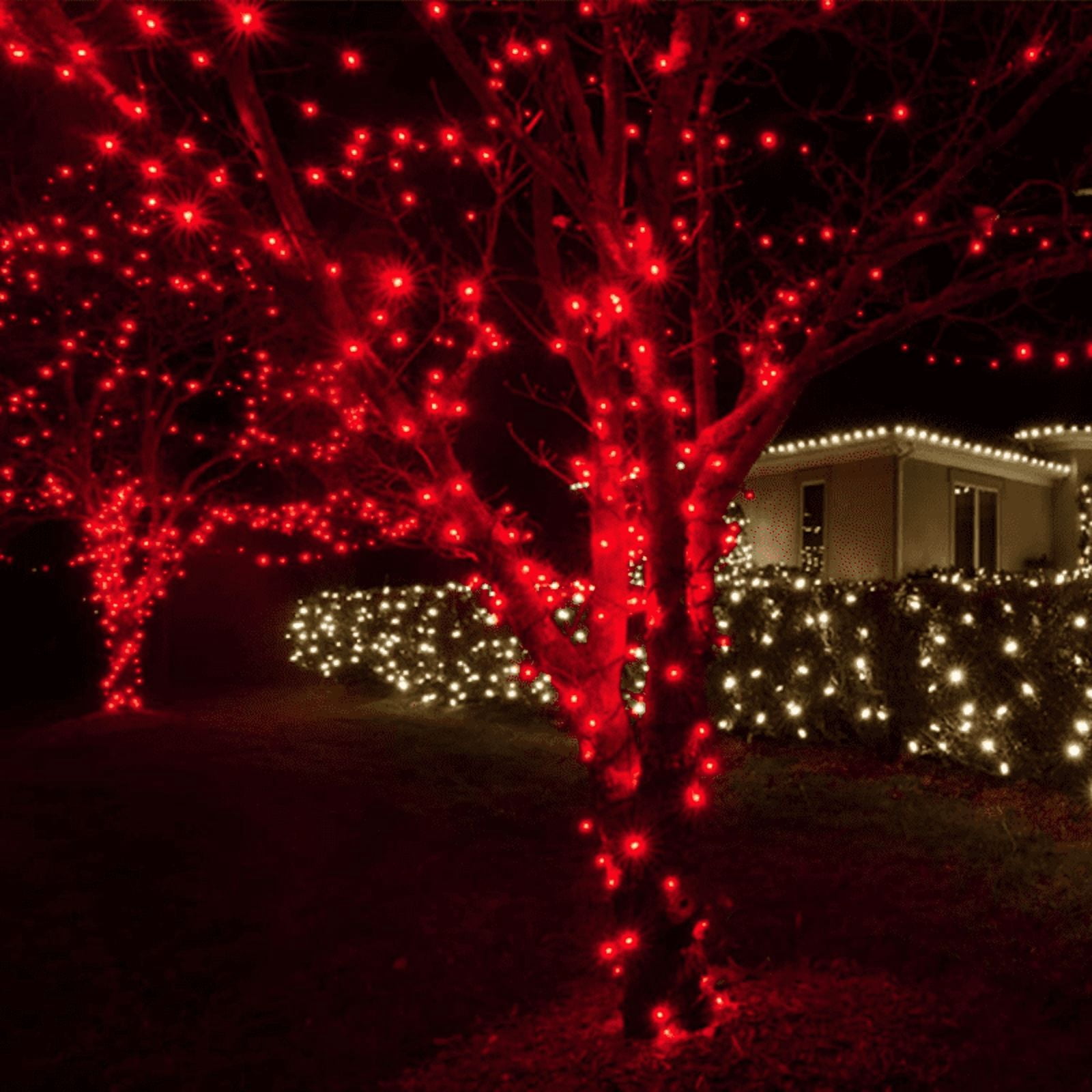 2 Pack 50 LED Outdoor Christmas Lights, 16 FT Mini String Light with 9 Modes & 6 Hour Timer, Waterproof Battery Operated for Indoor Outdoor Patio Garden Party Tree Valentine's Day Decoration, red