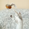 thumbnail image 3 of FRCOLOR Door Hanging Cat Toy Cats Sound Toys 13.00X10.00X5.00CM, 3 of 8