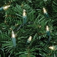 thumbnail image 5 of Novelty Lights Clear 100 Light Incandescent Mini Christmas String Lights, Green Wire, 34 Feet, 5 of 7