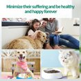 thumbnail image 3 of 2Pcs Pet Feeding Tools Kit Universal Handheld Reusable Lightweight Pet Convenient Durable Push-Type Pills Dispensers Safety Convenient Liquid Feeder Household Shop, 3 of 9
