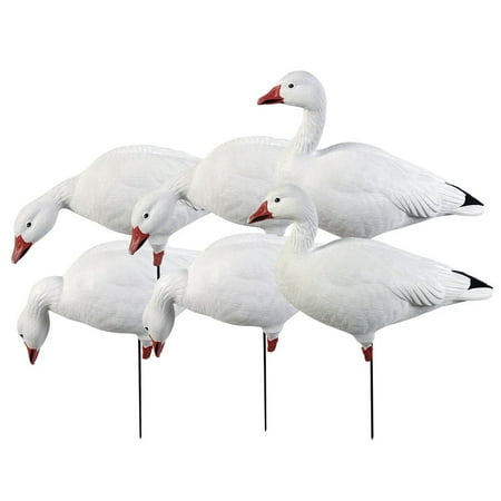 GHG Decoy Systems Pro Grade Full Body Snow Goose Decoys Harvester Pack - 6 Pack