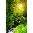 thumbnail image 2 of ABPHOTO Polyester 5x7ft Photography Backdrop Jungle Forest Cascade Sunshine Nature Scene Backdrops Seamless Baby Kids Children Adults Background Photo Studio Props, 2 of 3
