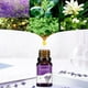 thumbnail image 5 of Aromatherapy Water Soluble Oil Aromatherapy Suitable For Humidifier 10ml, 5 of 5