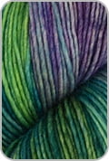 Dream in Color - Jilly Fingering Knitting Yarn - Mermaid Shoes (# 515)
