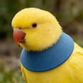 thumbnail image 3 of Bird Collar Parrot And Pull Recycling Collar Bird Neck Suitable For Small And Medium Sized Parrots Bugrig Parrot Bird Parrot, 3 of 4