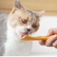thumbnail image 4 of Cuchara para comida húmeda, mini espátula para comida enlatada para mascotas, cucharas para latas sin BPA para alimentación de animales, espátulas para tarros pequeños, raspador fácil de lim, 4 of 5