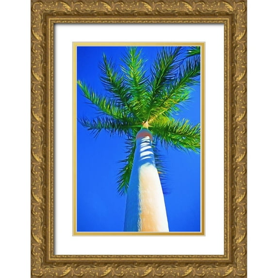 Bradshaw, Melinda 11x14 Gold Ornate Wood Framed with Double Matting Museum Art Print Titled - Blue Sky Palm II