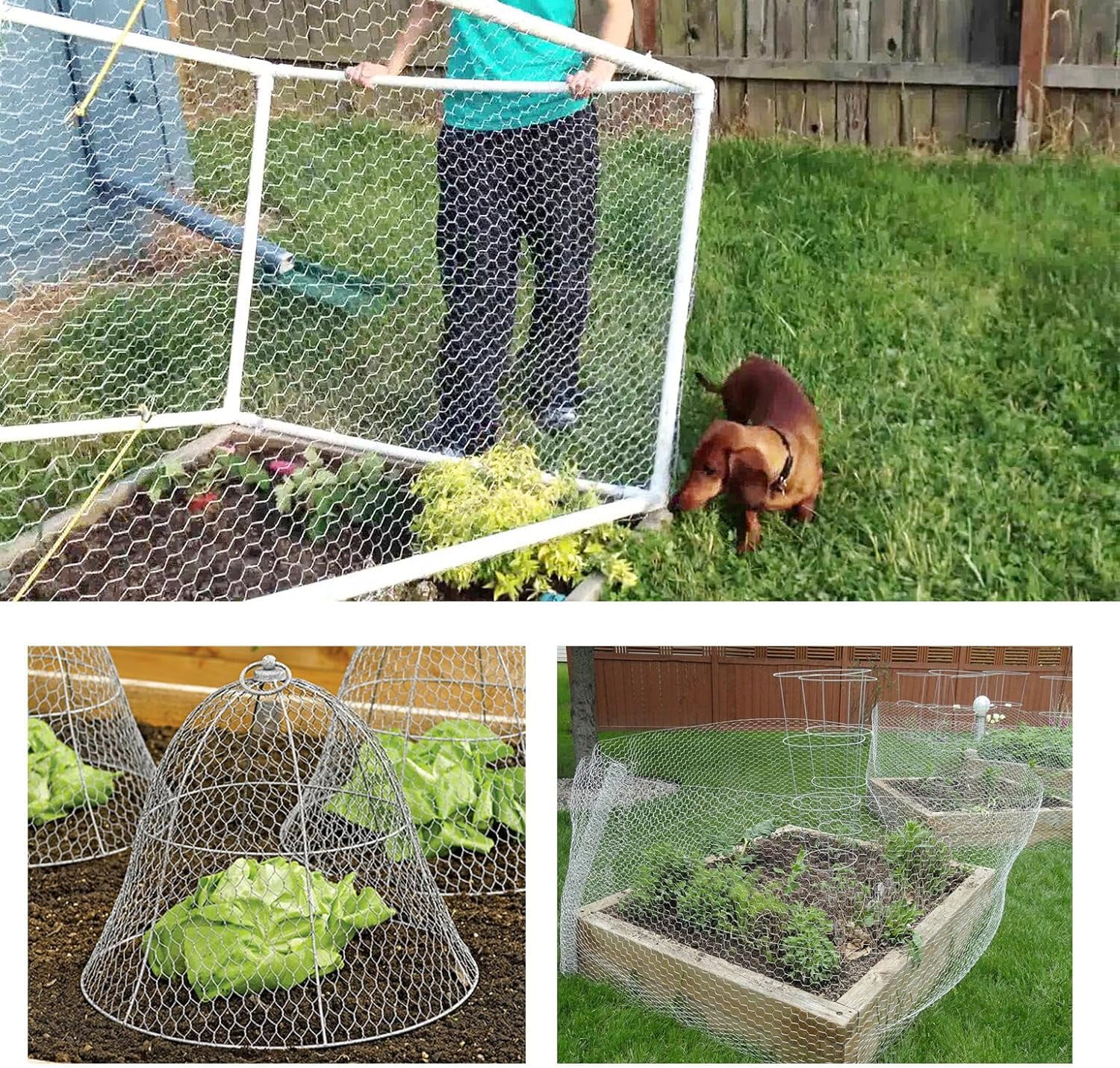 OTTULUR Hexagonal Galvanized Poultry Net - Chicken Wire Metal Mesh Fencing with Rabbits Pets Dog Vegetable Garden Fencing Backyard Raised Flower (48in x 150ft)