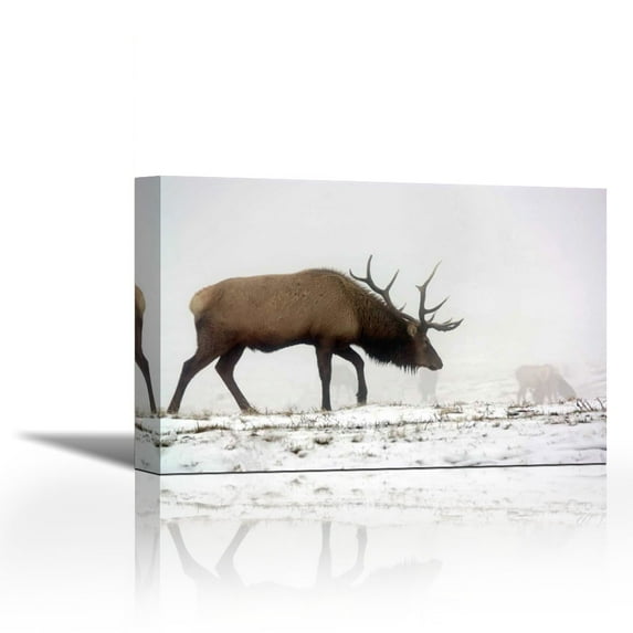 Elk IV - Contemporary Fine Art Giclee on Canvas Gallery Wrap - wall décor - Art painting - 21 x 14 Inch - Ready to Hang
