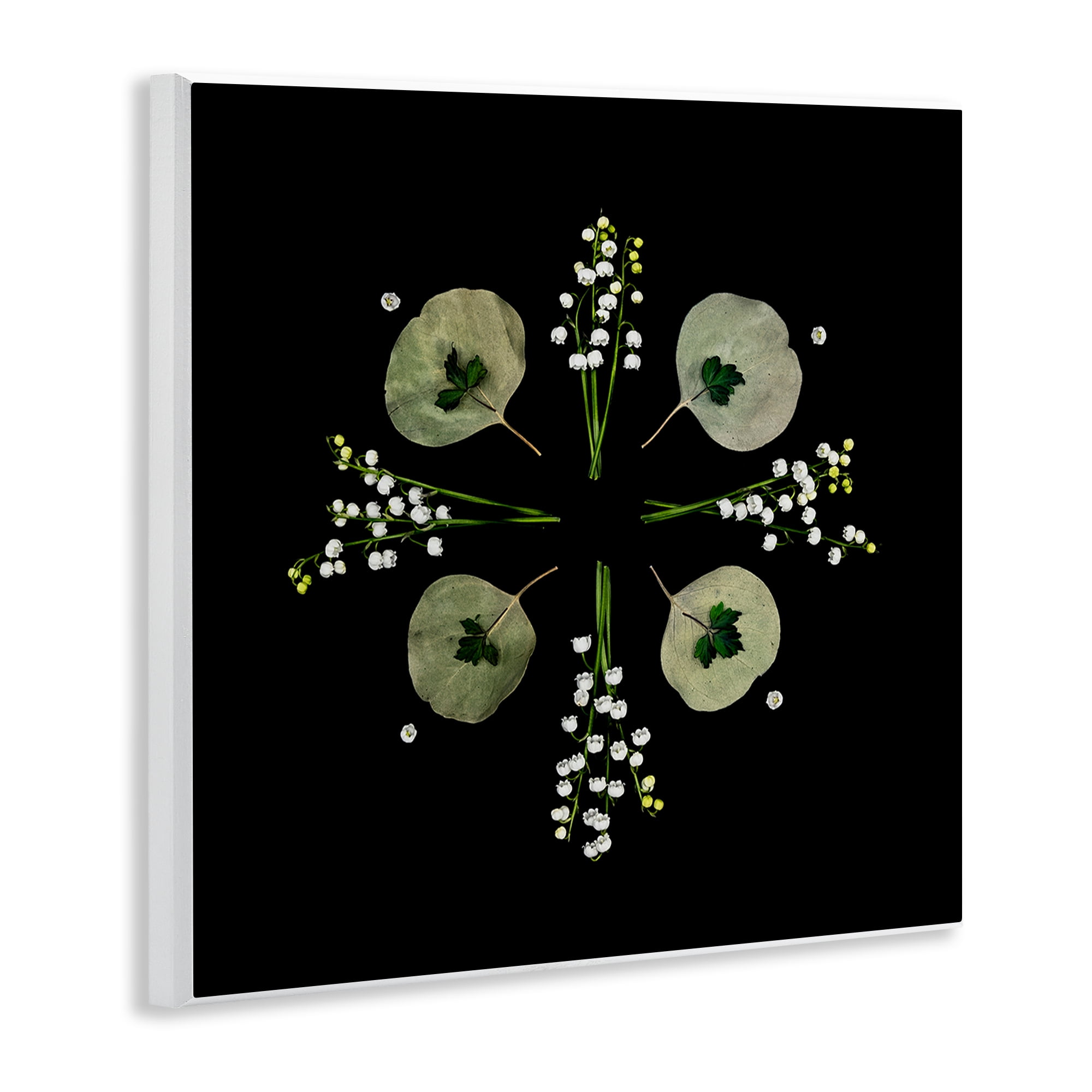 Stupell Industries Leaves & Wildflowers on Black Wall Plaque Art, design by Beth Adoette