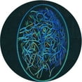 thumbnail image 1 of Ahgly Company Machine Washable Indoor Round Transitional Teal Green Area Rugs, 3' Round, 1 of 7