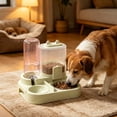 thumbnail image 4 of Comedero automático para mascotas (gatos y perros): dispensador 2 en 1 de comida y agua con comedero para croquetas por gravedad, base antideslizante, diseño elevado para facilitar la alimentació, 4 of 6