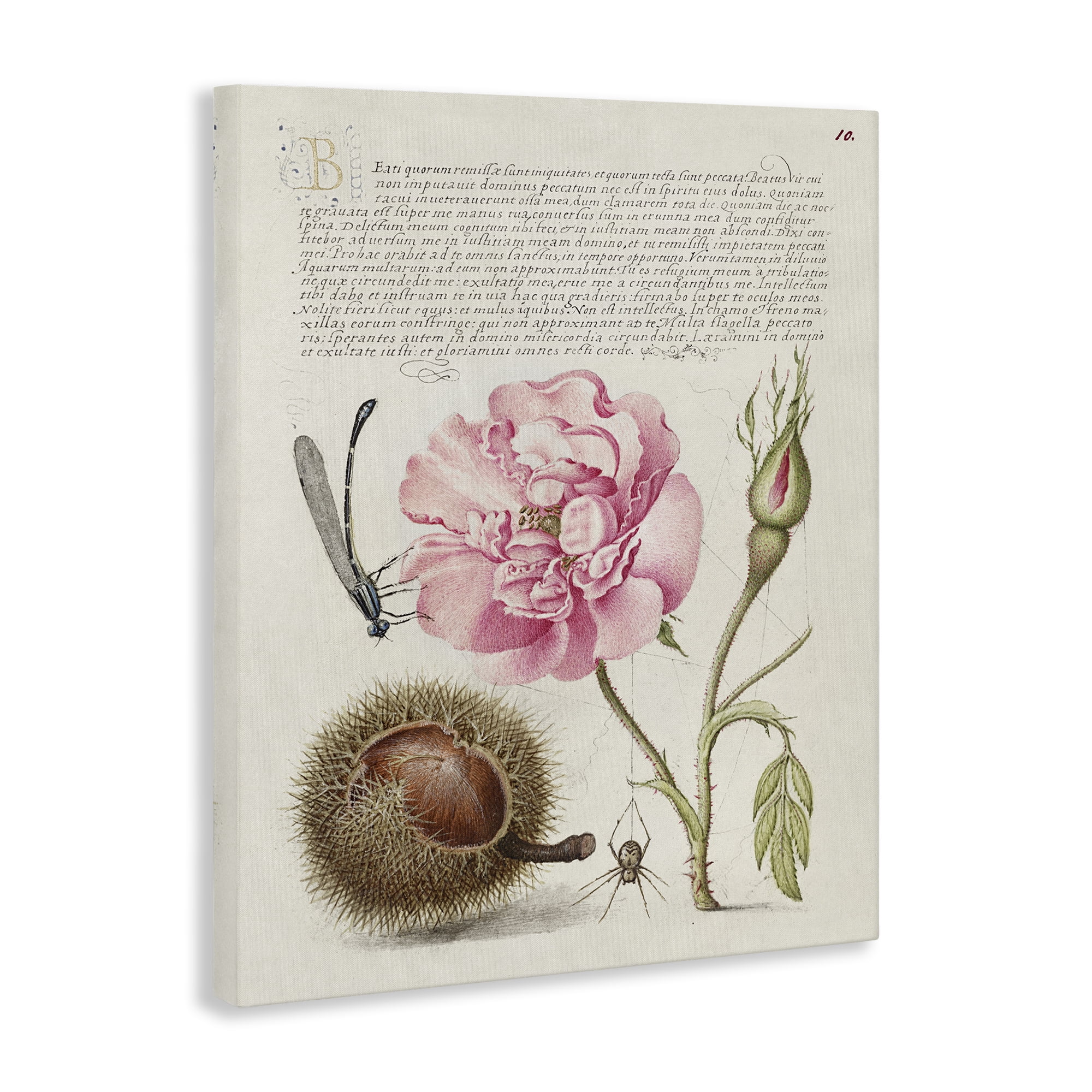 Stupell Industries Antique Study Page Text & Numbers Painting Wrapped Canvas Art Print Wall Art, 24 x 30