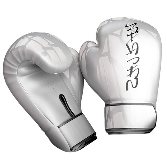 Boxing Gloves Sparring MMA Kickboxing Muay Thai Workout Punching 10oz_White